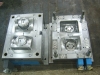 Mold Sample No.13